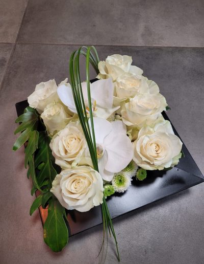 Roses Blanches